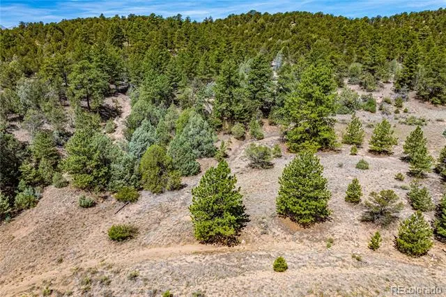 TBD L Arnold Drive Cotopaxi, CO 81223