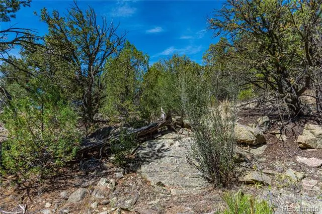 TBD L Arnold Drive Cotopaxi, CO 81223