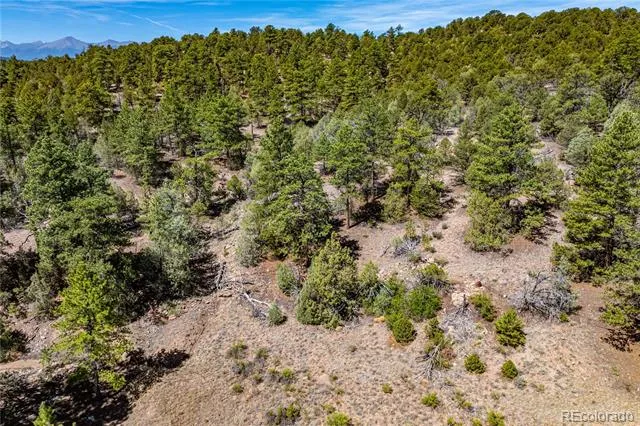 TBD L Arnold Drive Cotopaxi, CO 81223