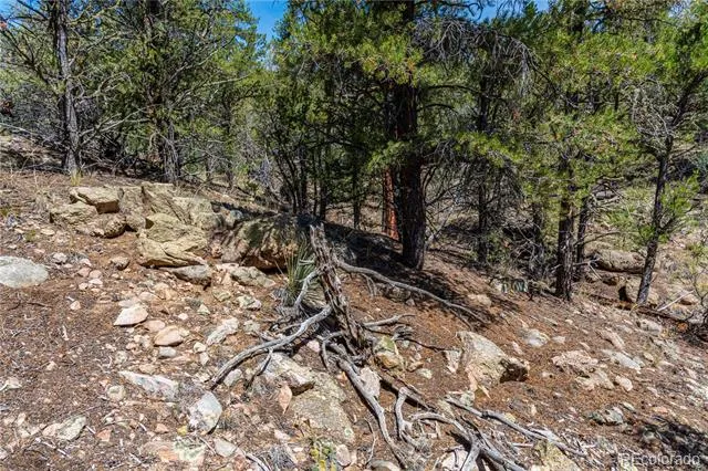 TBD L Arnold Drive Cotopaxi, CO 81223