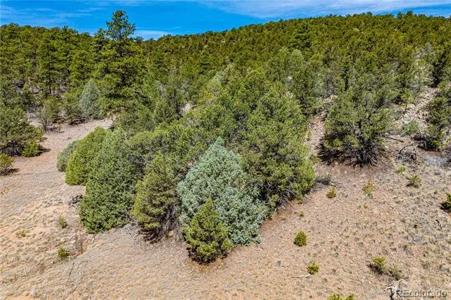 TBD L Arnold Drive Cotopaxi, CO 81223