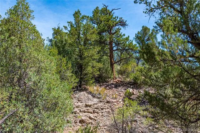 TBD L Arnold Drive Cotopaxi, CO 81223