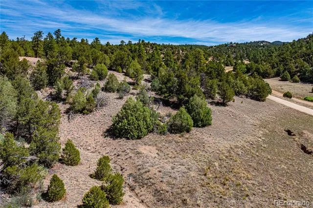 TBD L Arnold Drive Cotopaxi, CO 81223
