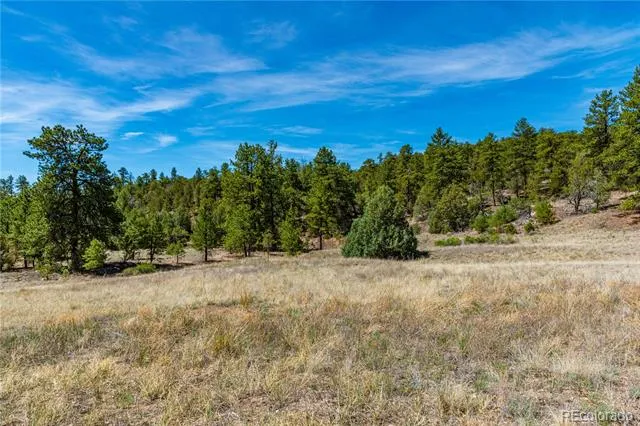 TBD L Arnold Drive Cotopaxi, CO 81223