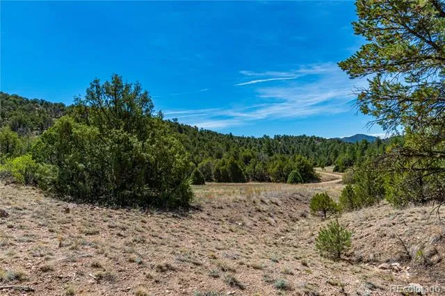TBD L Arnold Drive Cotopaxi, CO 81223
