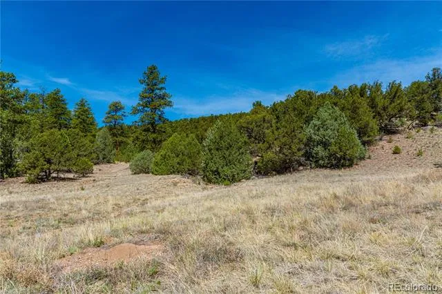 TBD L Arnold Drive Cotopaxi, CO 81223