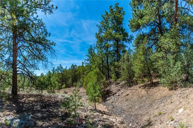 TBD L Arnold Drive Cotopaxi, CO 81223
