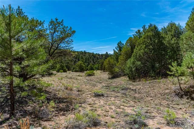 TBD L Arnold Drive Cotopaxi, CO 81223