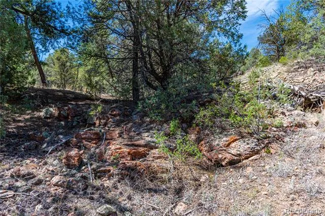 TBD L Arnold Drive Cotopaxi, CO 81223