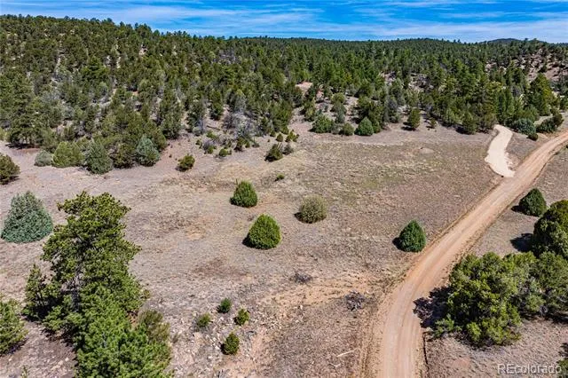 TBD L Arnold Drive Cotopaxi, CO 81223