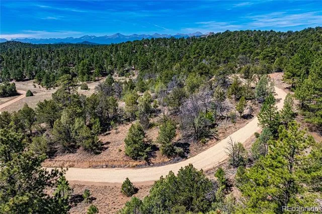 TBD L Arnold Drive Cotopaxi, CO 81223