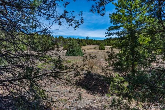 TBD L Arnold Drive Cotopaxi, CO 81223