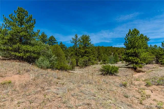 TBD L Arnold Drive Cotopaxi, CO 81223