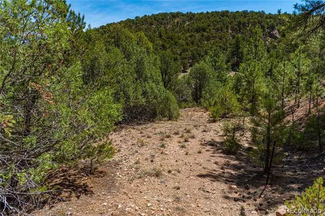 TBD L Arnold Drive Cotopaxi, CO 81223