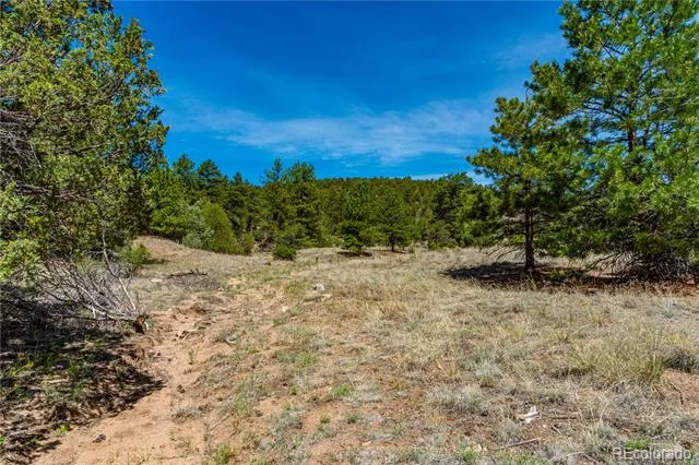 TBD L Arnold Drive Cotopaxi, CO 81223