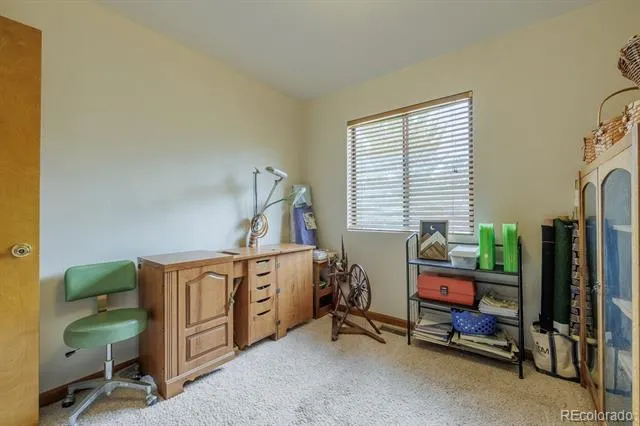 107 Glovers Lane Woodland Park, CO 80863