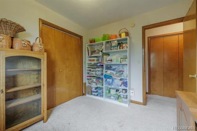 107 Glovers Lane Woodland Park, CO 80863