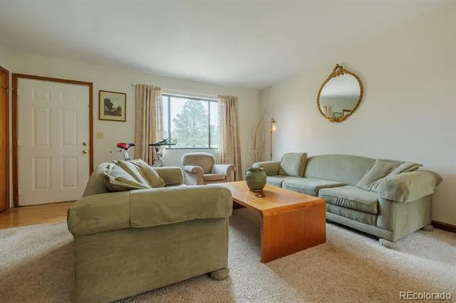 107 Glovers Lane Woodland Park, CO 80863