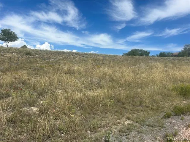 213 W Palomar Plaza Pueblo West, CO 81007
