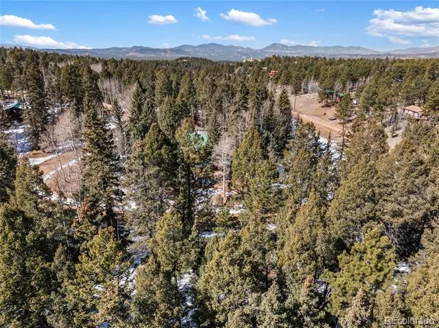 358 Pawutsy Road Florissant, CO 80816