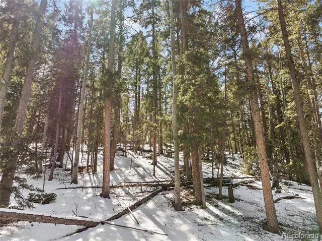358 Pawutsy Road Florissant, CO 80816