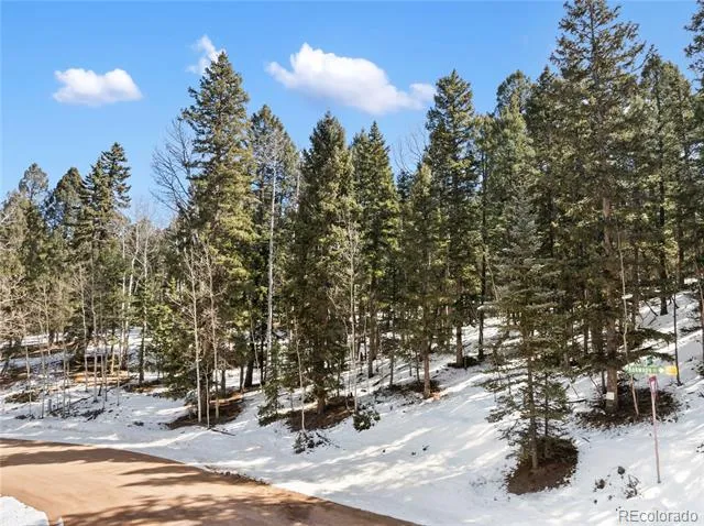 358 Pawutsy Road Florissant, CO 80816