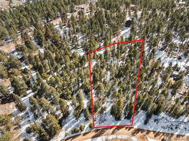 358 Pawutsy Road Florissant, CO 80816