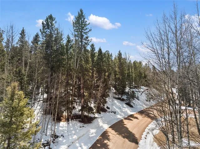 358 Pawutsy Road Florissant, CO 80816