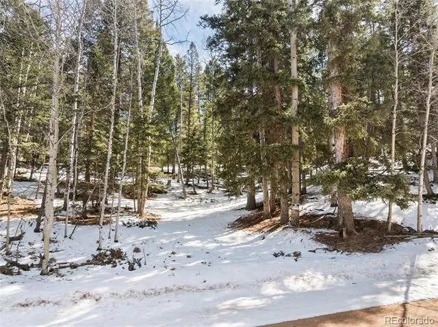 358 Pawutsy Road Florissant, CO 80816