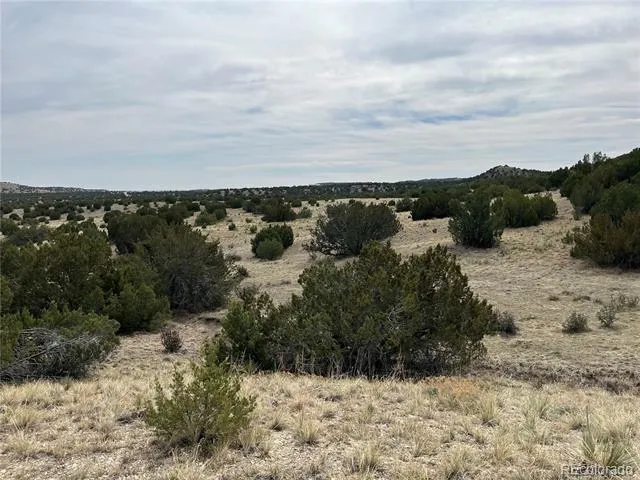 Lot 2 Red Creek Springs Road Pueblo, CO 81005