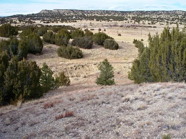 Lot 2 Red Creek Springs Road Pueblo, CO 81005