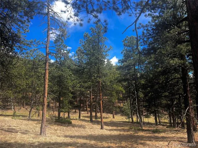 271 Thunder Ridge Woodland Park, CO 80863