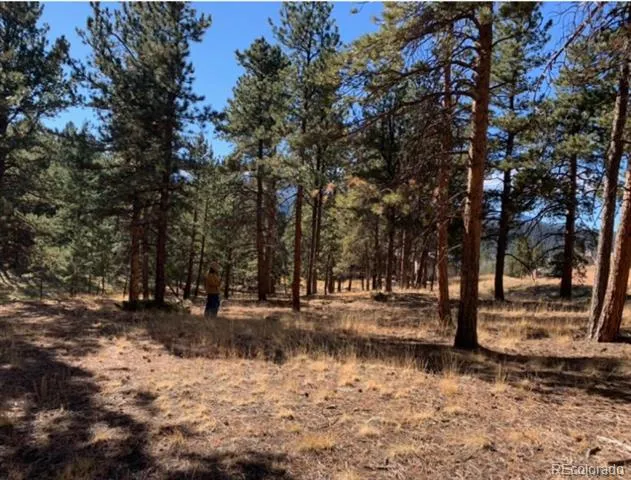 271 Thunder Ridge Woodland Park, CO 80863