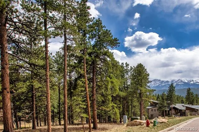 271 Thunder Ridge Woodland Park, CO 80863