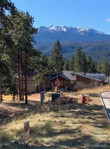 271 Thunder Ridge Woodland Park, CO 80863