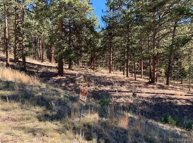 271 Thunder Ridge Woodland Park, CO 80863
