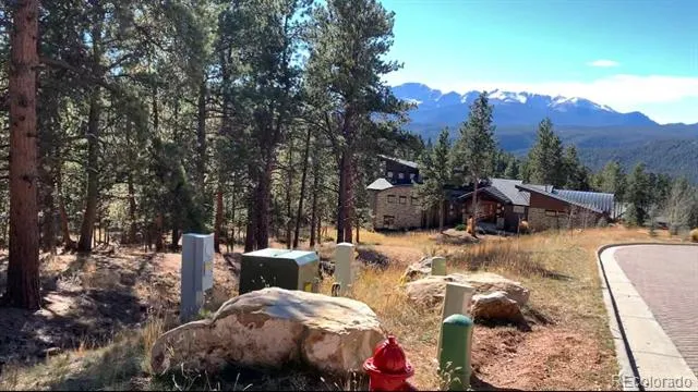 271 Thunder Ridge Woodland Park, CO 80863