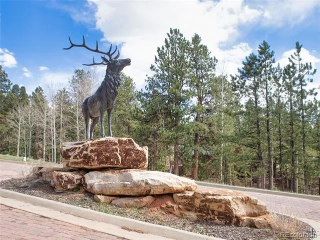 271 Thunder Ridge Woodland Park, CO 80863