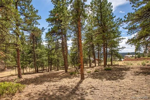 271 Thunder Ridge Woodland Park, CO 80863