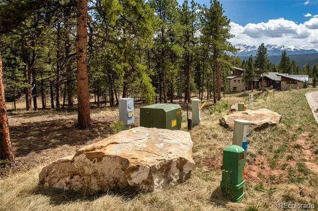 271 Thunder Ridge Woodland Park, CO 80863