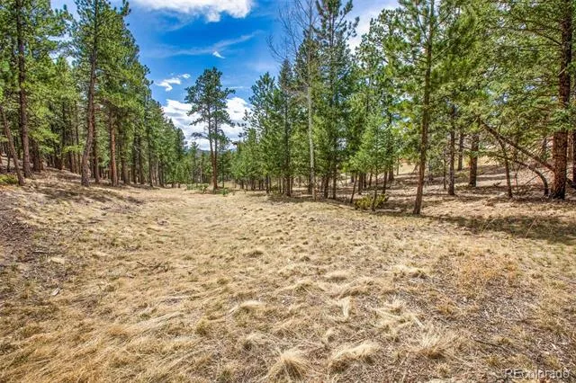 271 Thunder Ridge Woodland Park, CO 80863