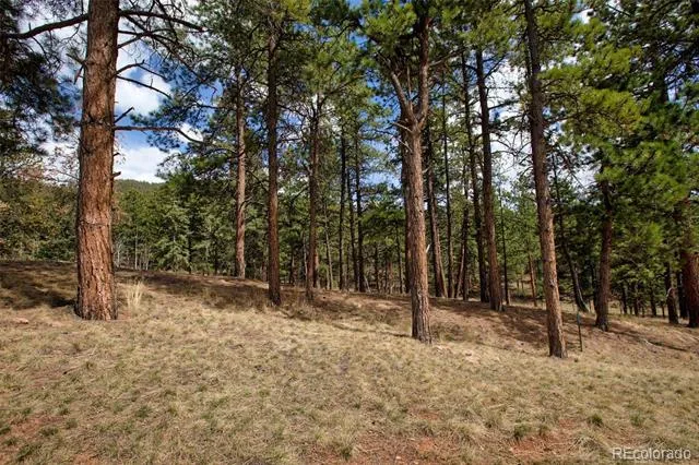 271 Thunder Ridge Woodland Park, CO 80863