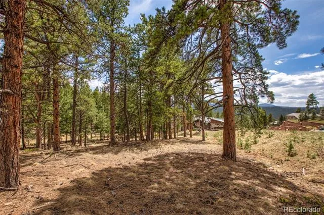 271 Thunder Ridge Woodland Park, CO 80863
