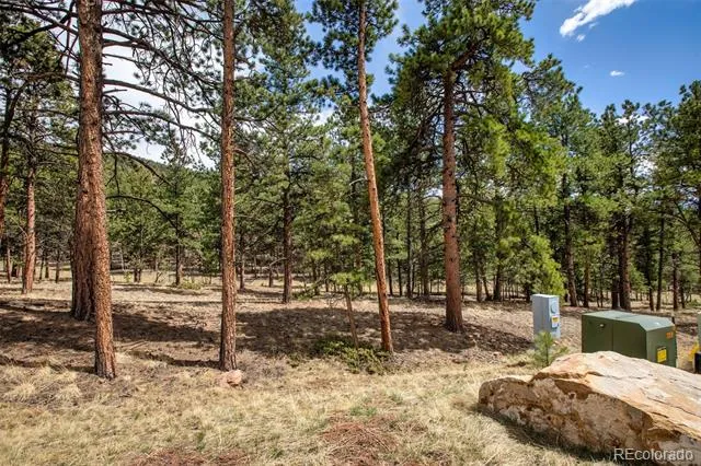 271 Thunder Ridge Woodland Park, CO 80863