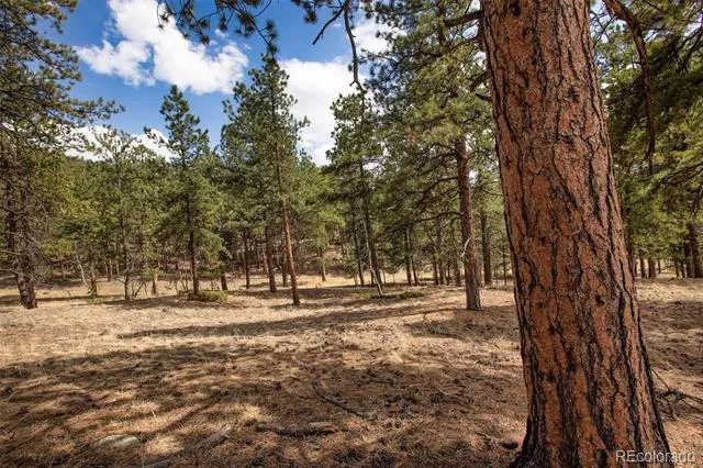 271 Thunder Ridge Woodland Park, CO 80863
