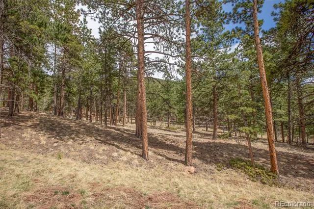 271 Thunder Ridge Woodland Park, CO 80863