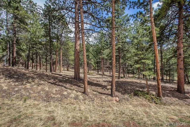 271 Thunder Ridge Woodland Park, CO 80863