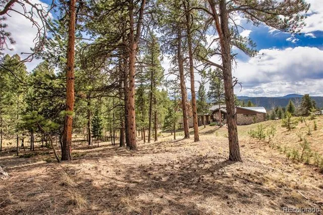 271 Thunder Ridge Woodland Park, CO 80863