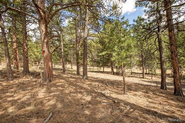 271 Thunder Ridge Woodland Park, CO 80863
