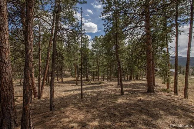 271 Thunder Ridge Woodland Park, CO 80863